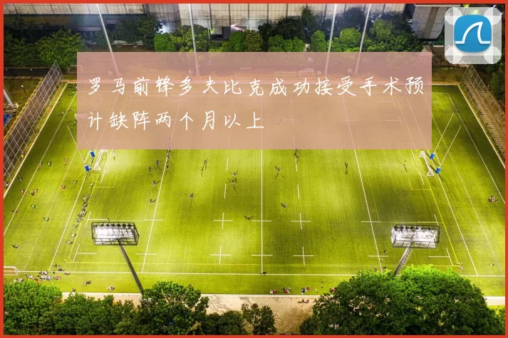 罗马前锋多夫比克成功接受手术预计缺阵两个月以上